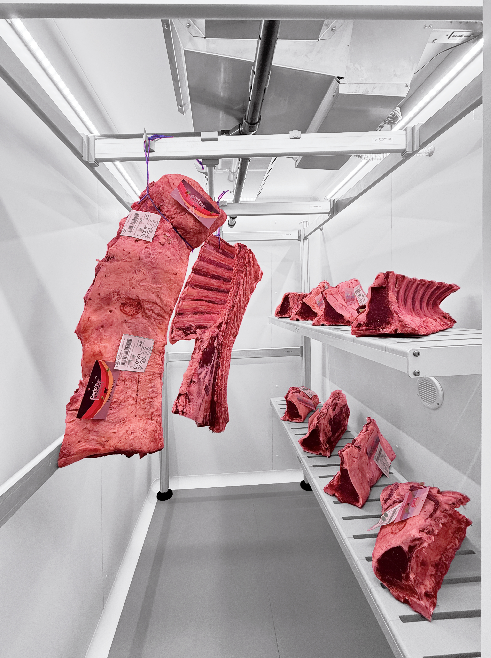 klima_box_carne_cella