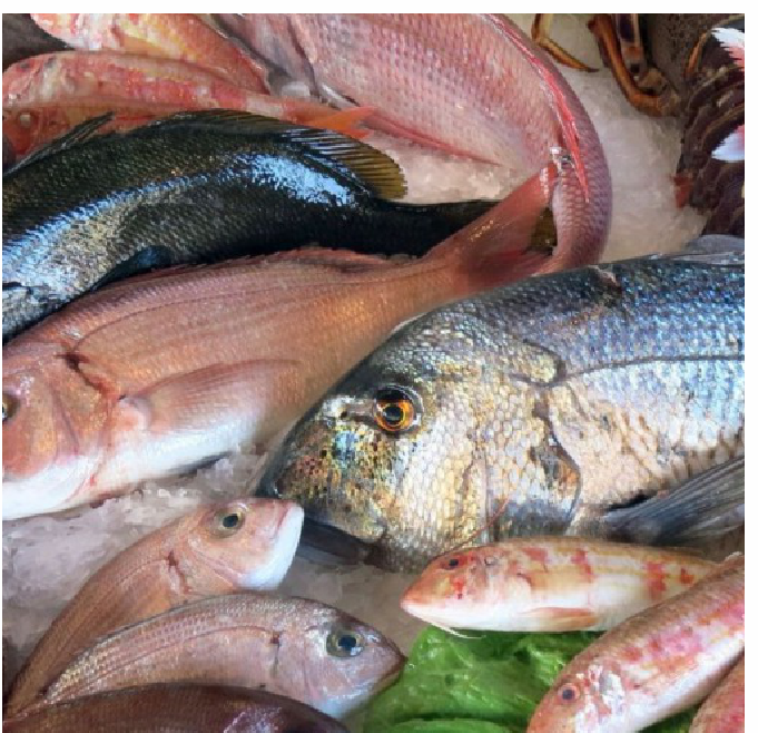 klima_box_pesce_cella