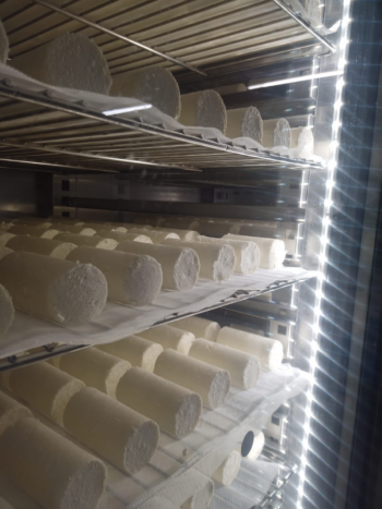 Klima Aging system - fromagerie VAL D'ORMEZE - France