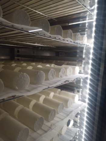 Klima Aging system  - fromagerie VAL D'ORMEZE - France